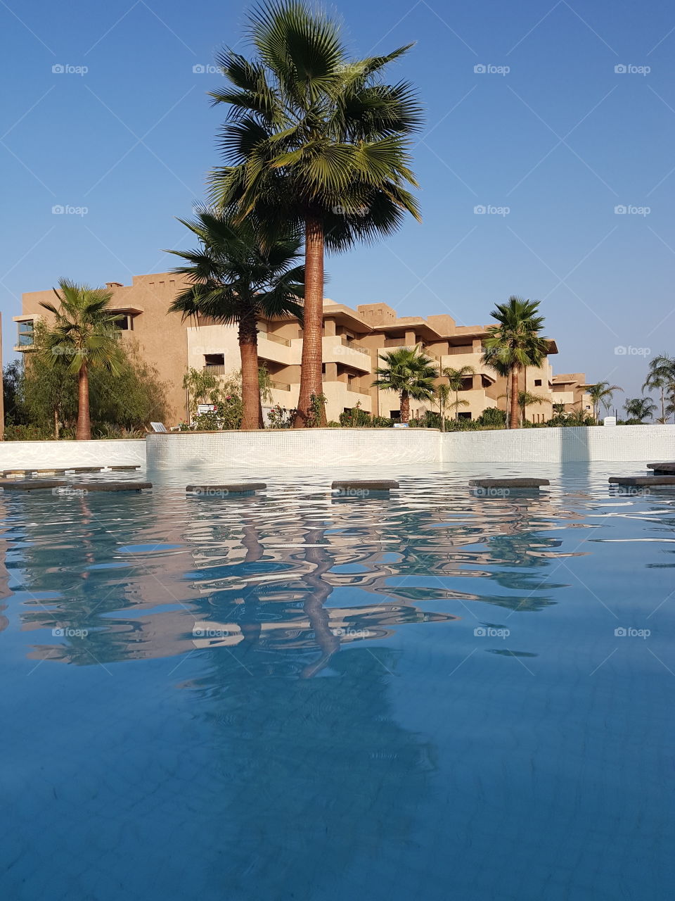 pool summer Marrakech