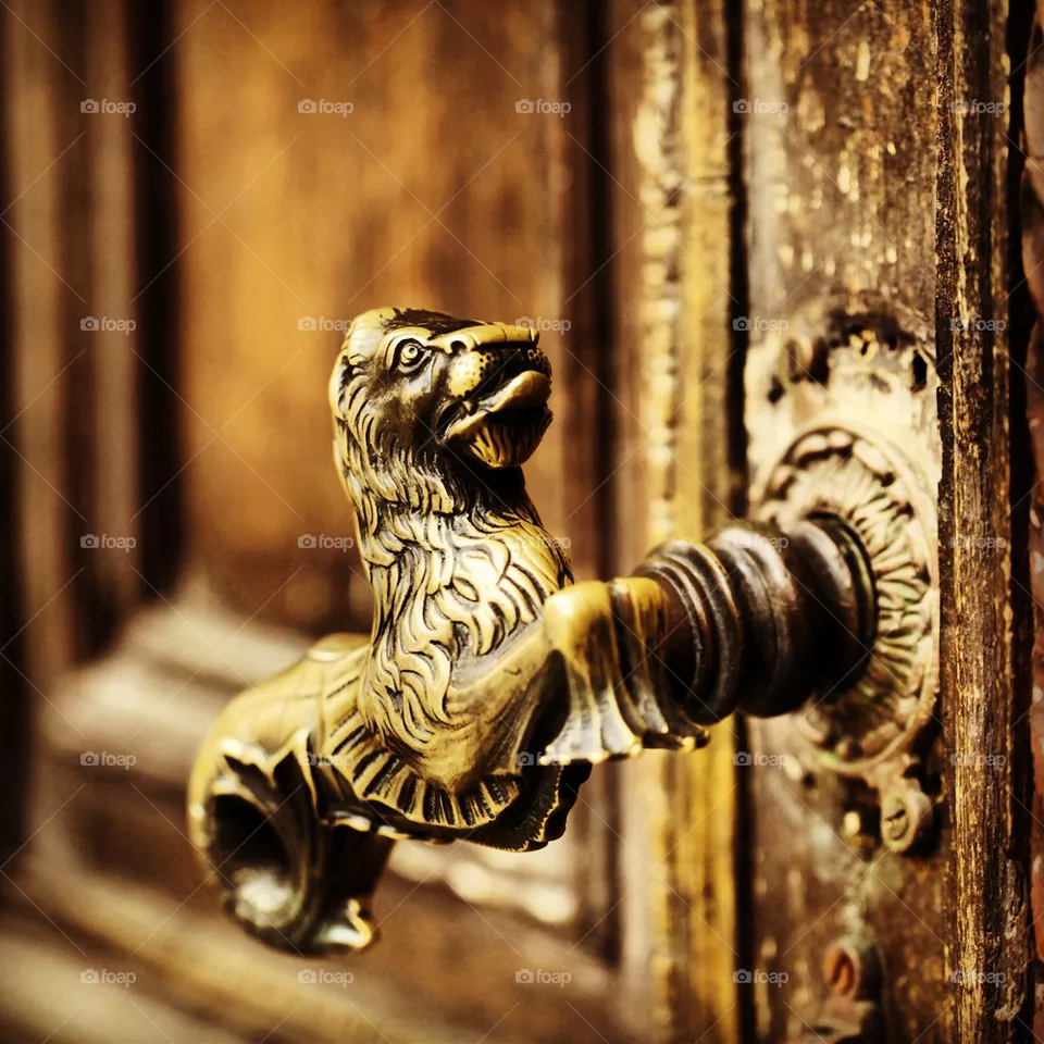 Door- handle