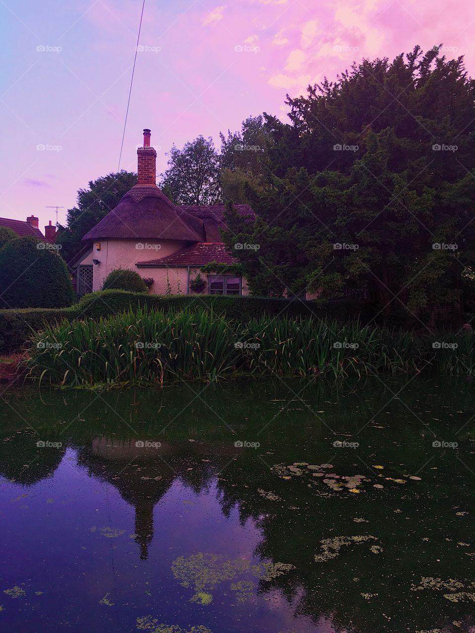 Cottage and pond