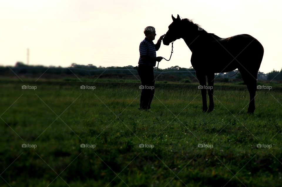sunset silhouette of man petting horse on farm field