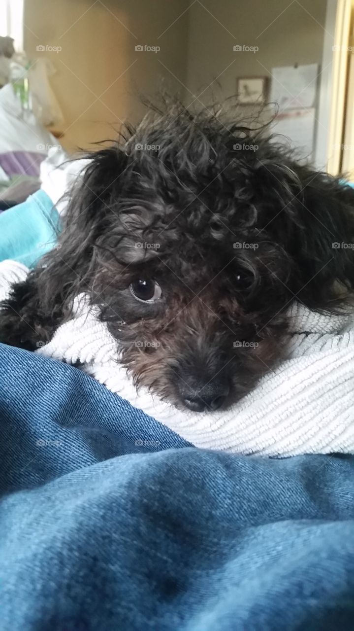 Do you really want me to move