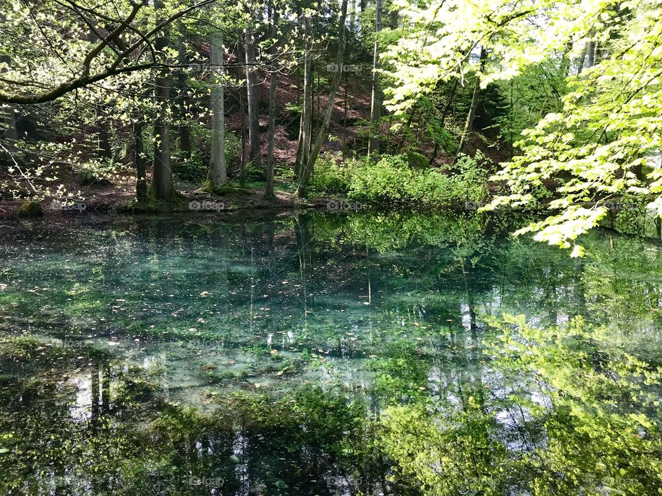 Steibachweiher 