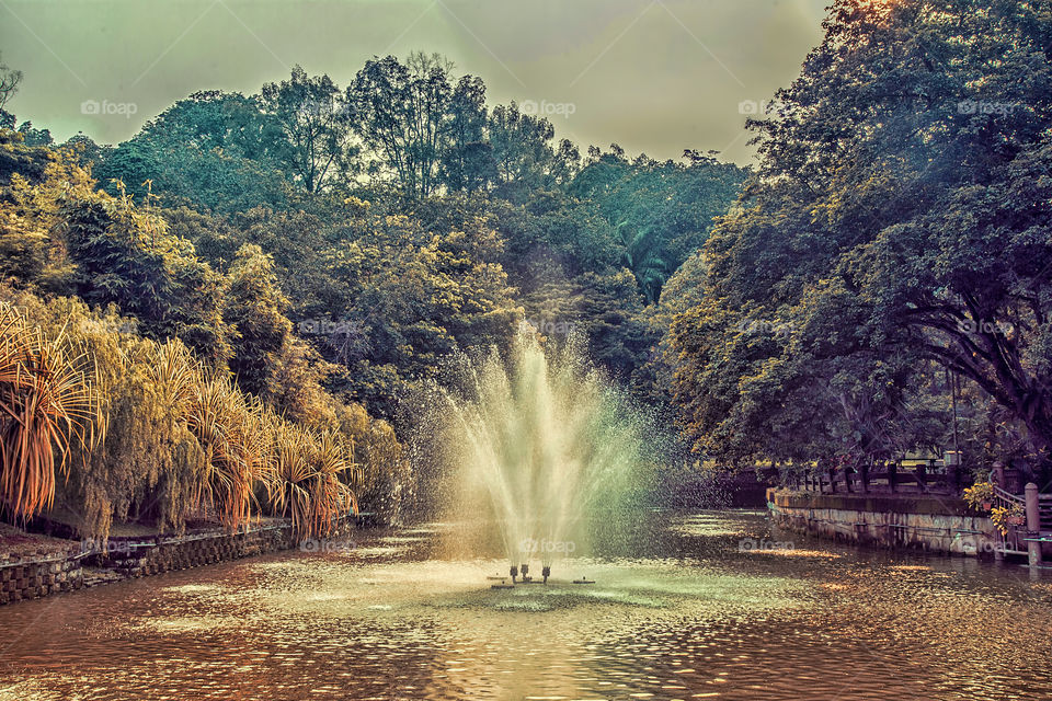 fountain in autumn