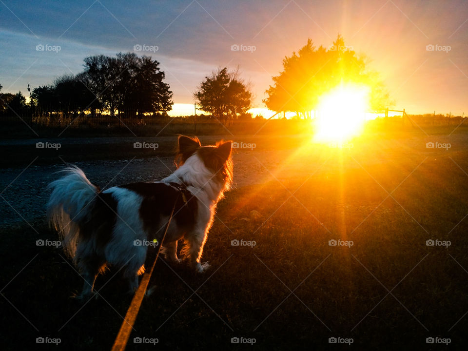 Watching the Sunset on Our Evening Walk