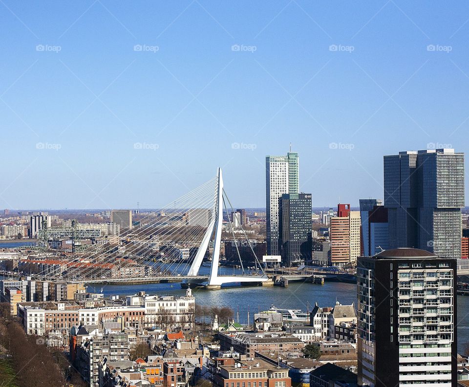 Erasmusbridge, Rotterdam, The Netherlands