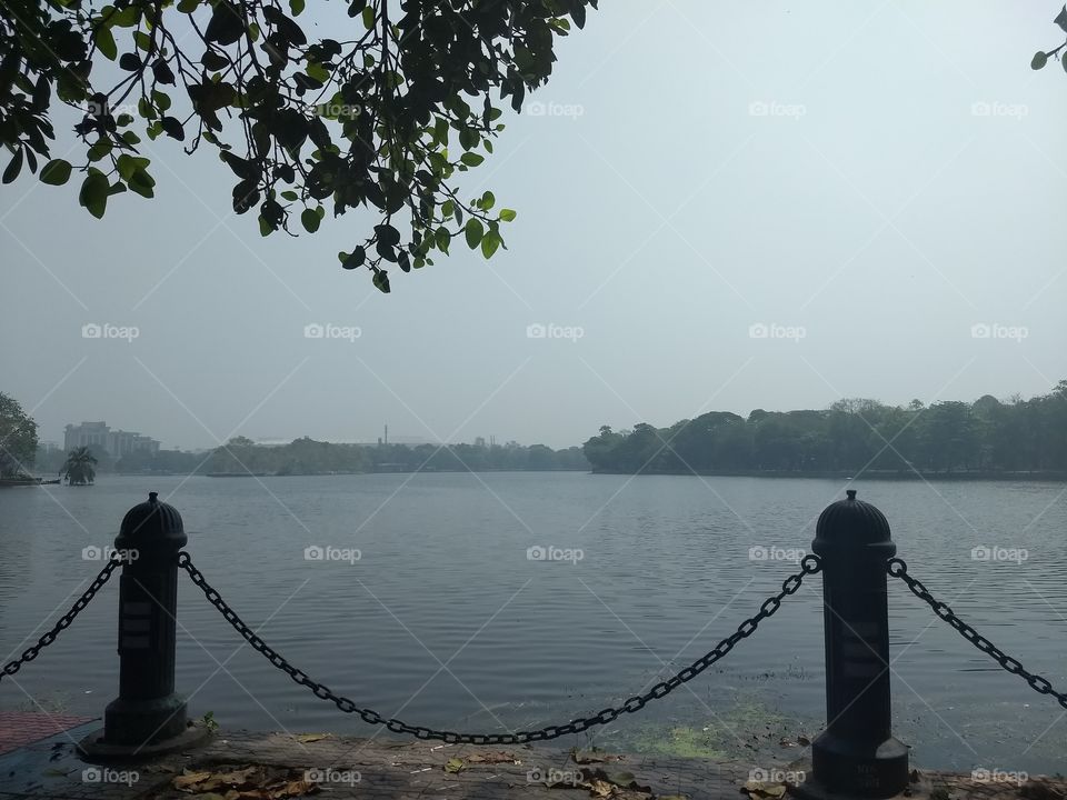 lake view incity