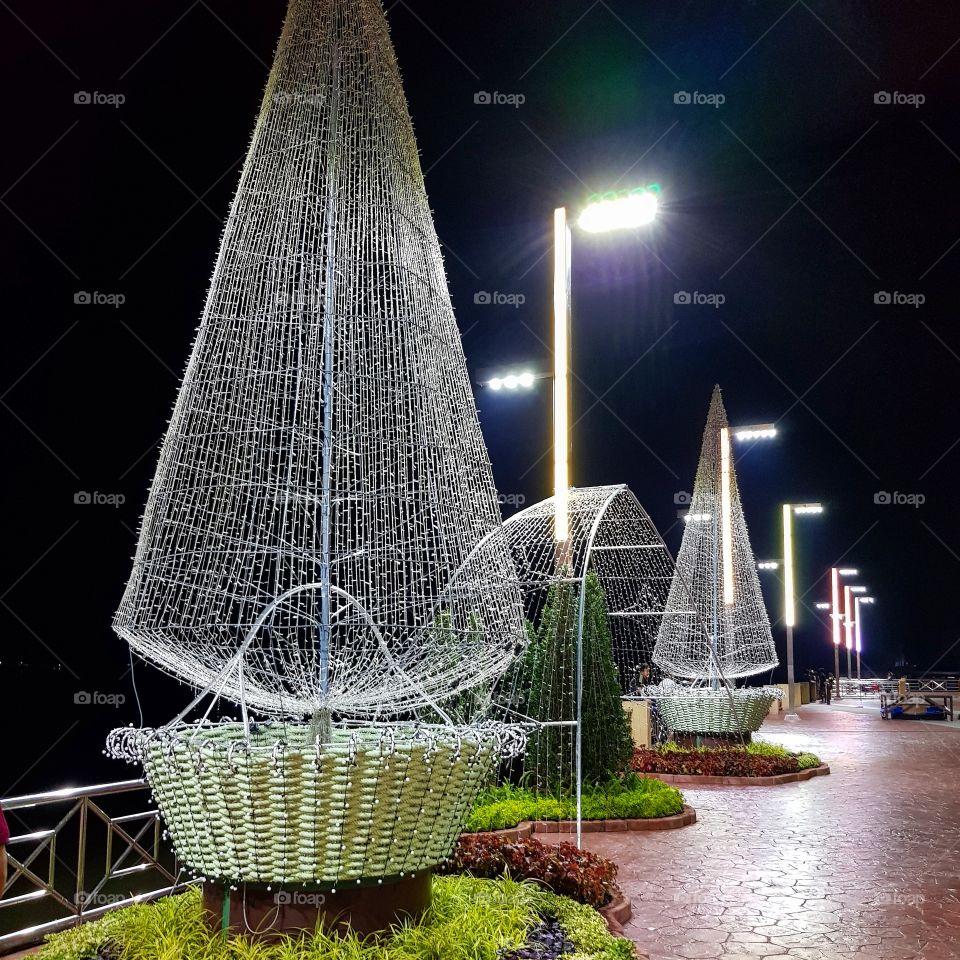 The light in the park of city