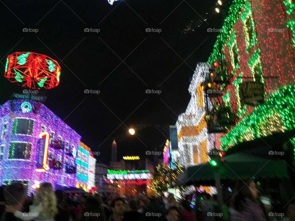 DisneyWorld, Lights, Christmas Time , Colors