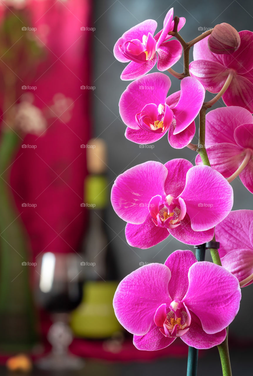 Close-up pink orchid through flowers which is still visible with a bottle and a glass of red wine with pink stole