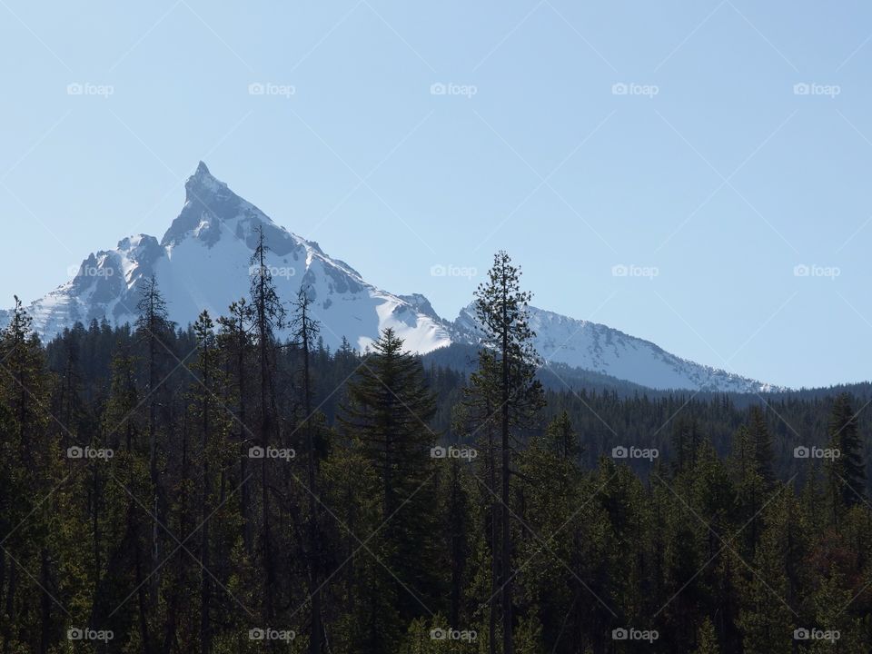 The beautiful jagged peak of snow covered Mt. Washington in Oregon’s Cascade Mountain Range seen through the forest trees on a sunny spring morning. 