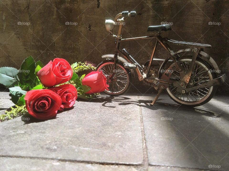 Bicycles and roses symbolize love