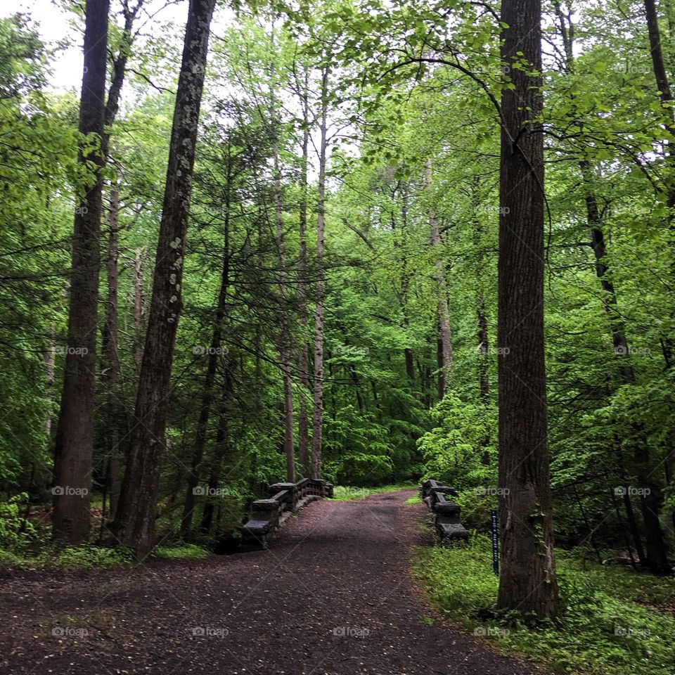 An early morning and refreshing run in the rain. 