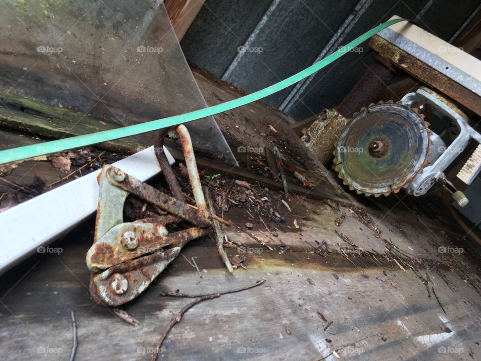 Abandoned Jungleland Zoo