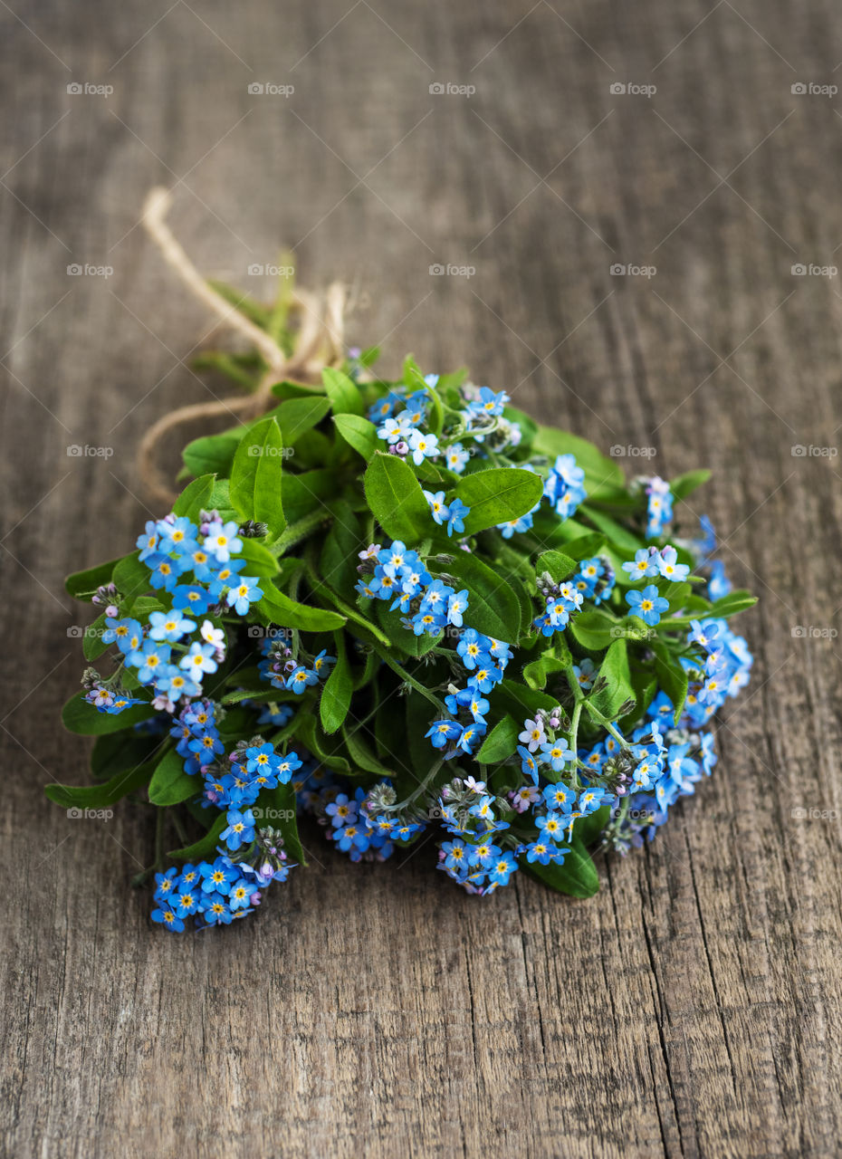 Forget me not 