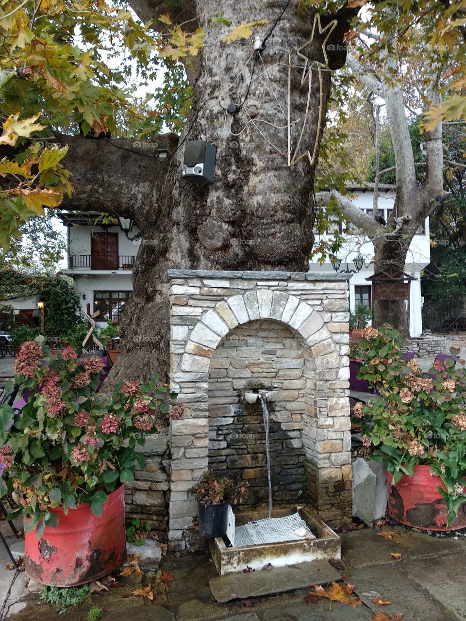 my village in Greece called portaria..