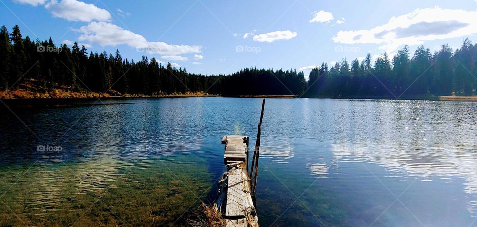 View from the dock of the lake .Naturesbeauty.