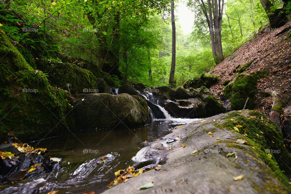 wild stream Brodenbach at hunsrueck mountains. located next to moselle valley in rhineland-palatinate, germany