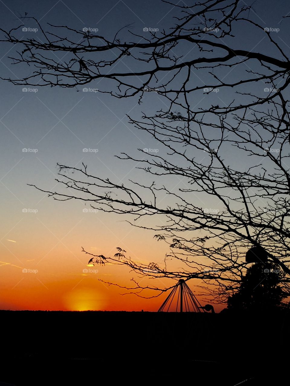 This was taken in Woodlands Mounds Park, as the sun sets by the Ohio River