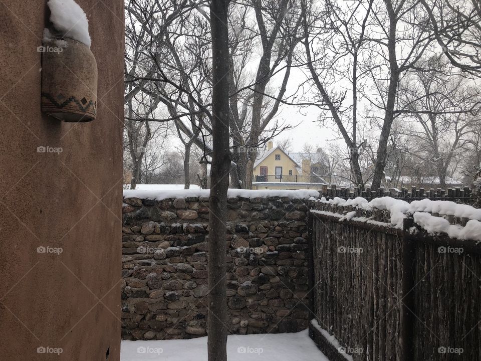 Snowy Fence