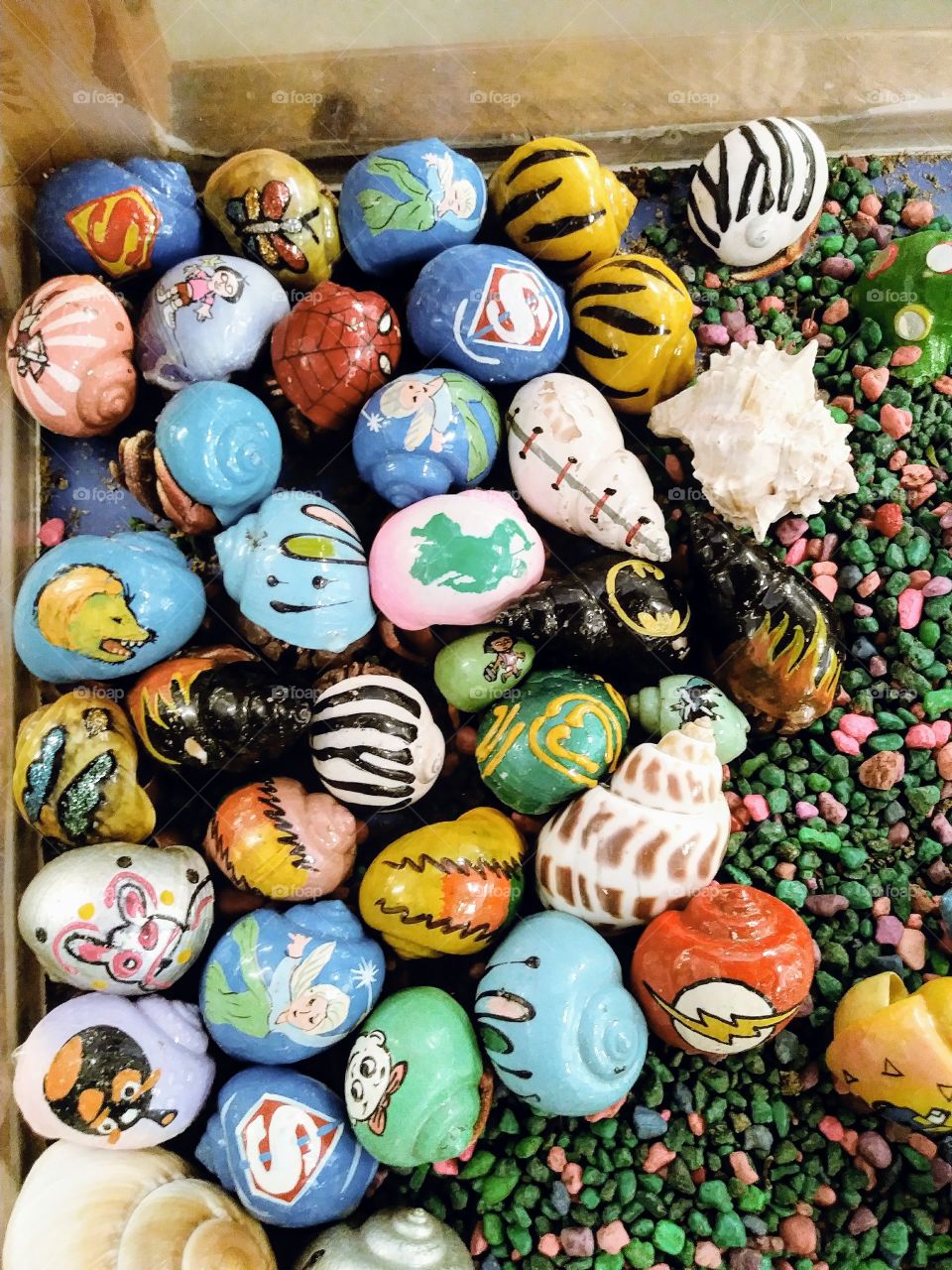 colorful art painted shells