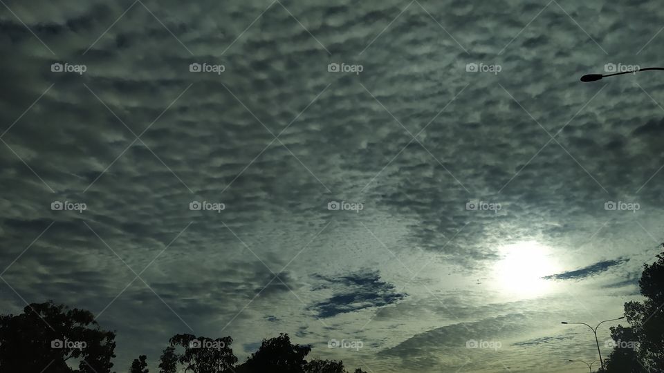 A Day look like a evening