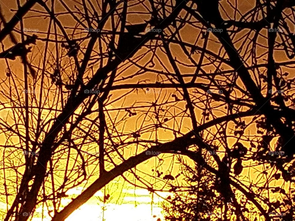 Золото неба.