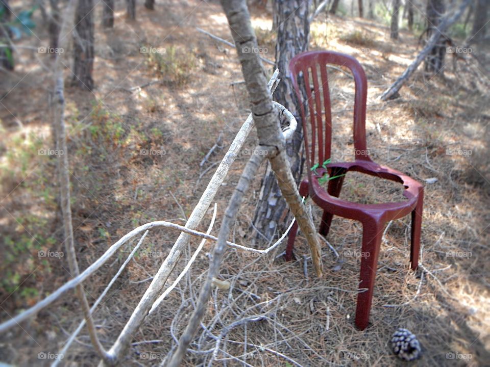 broken chair into the forest