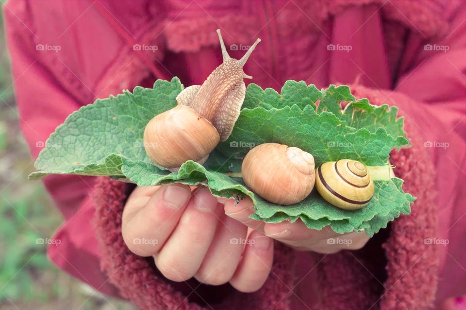 Snails