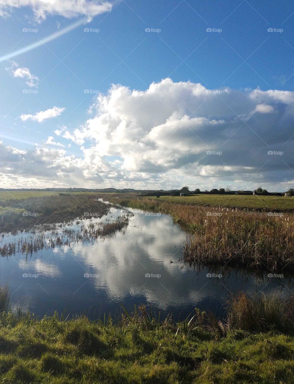 Braunton, North Devon