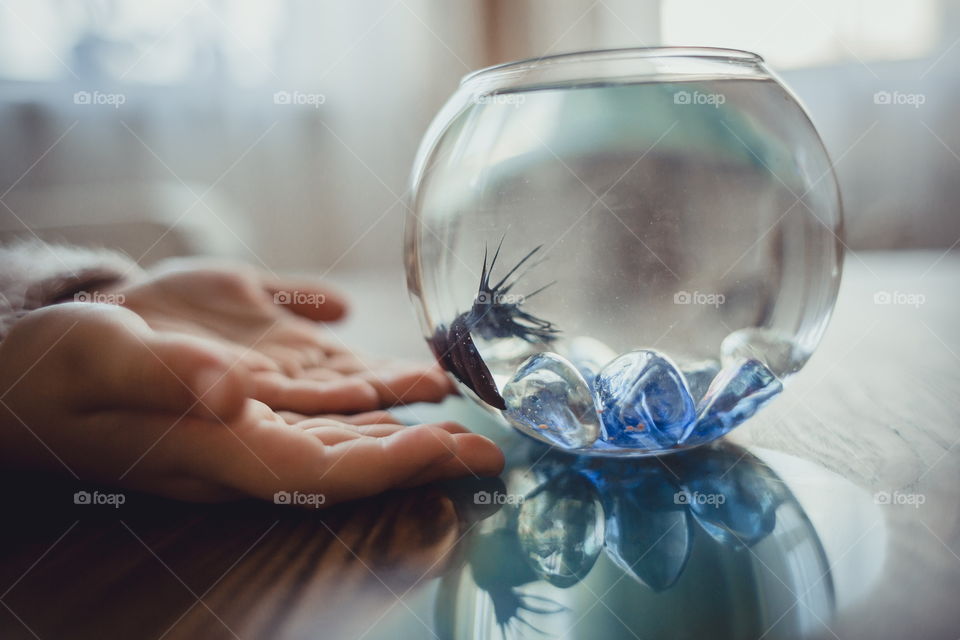 Girl with fish in round aquarium. 