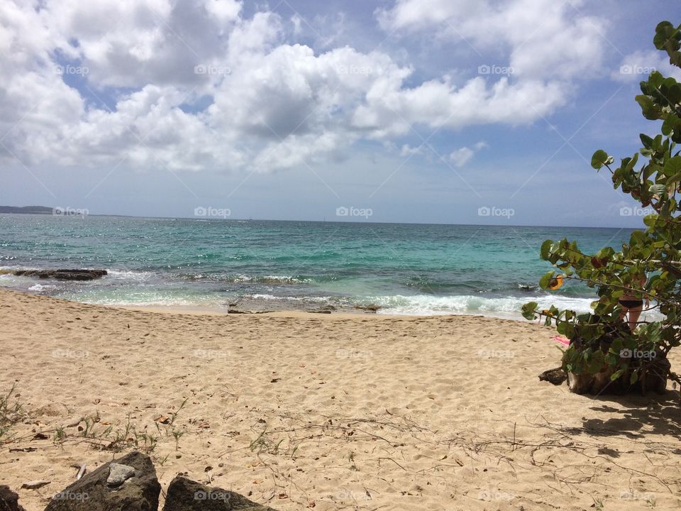 Beach in Martinique 