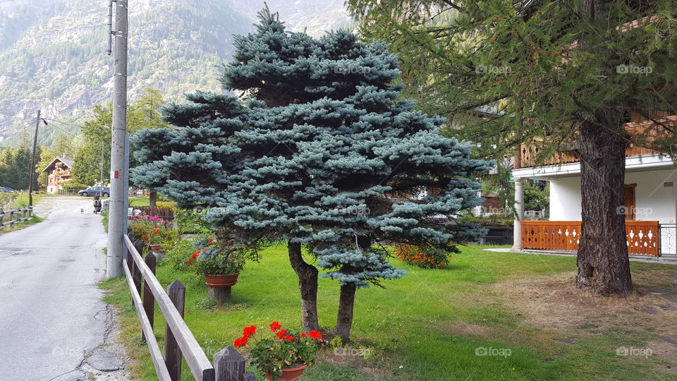 Mocugnaga, Piemonte, IT