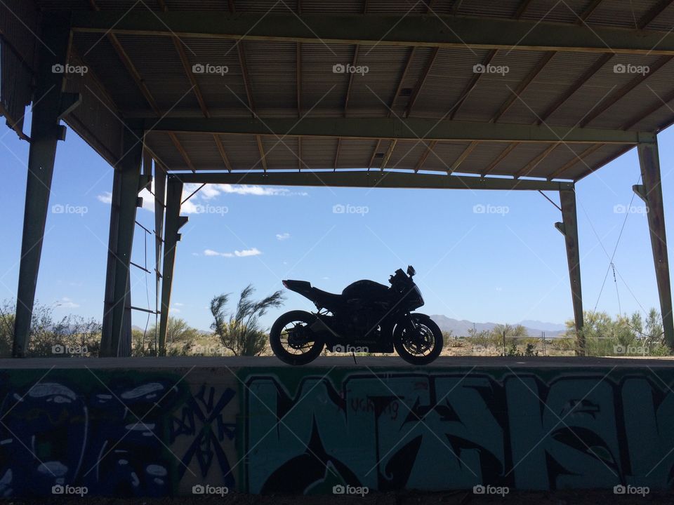 Desert rider