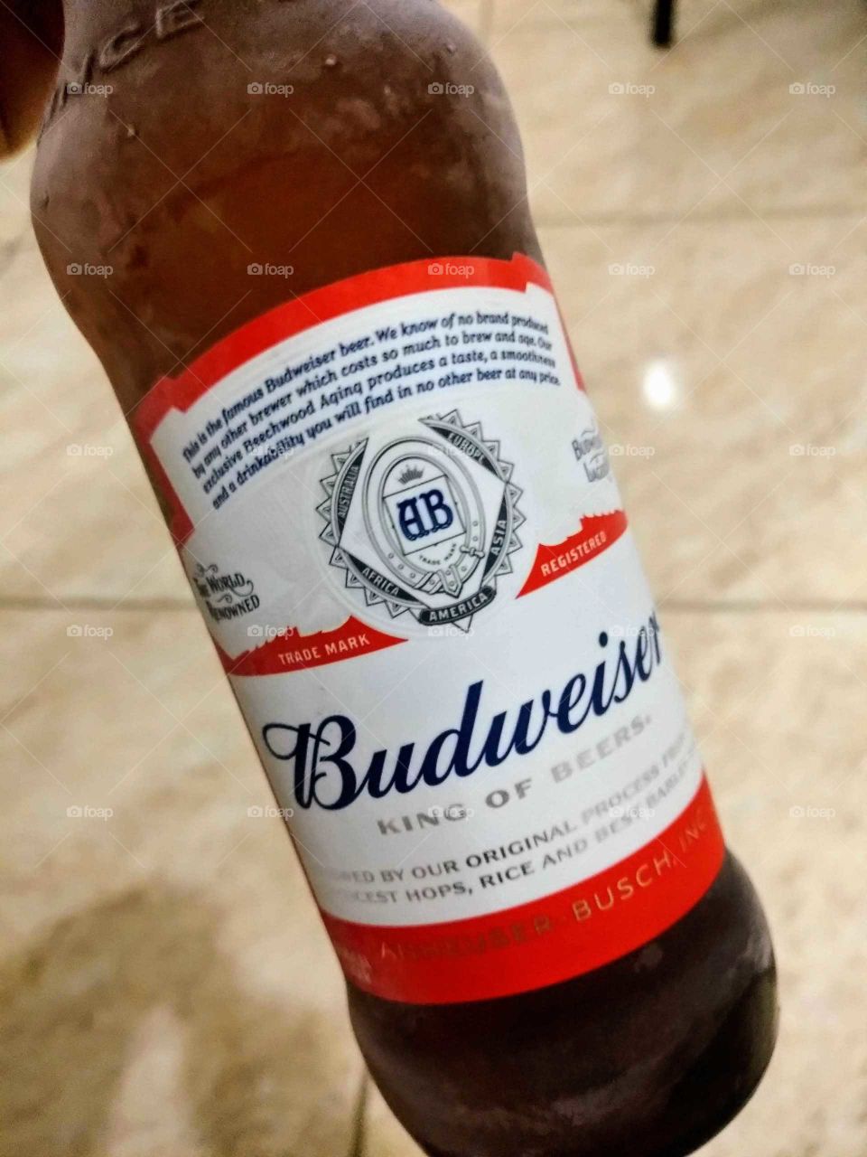 beer Budweiser Bud