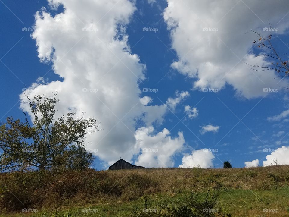 the barn in the sky