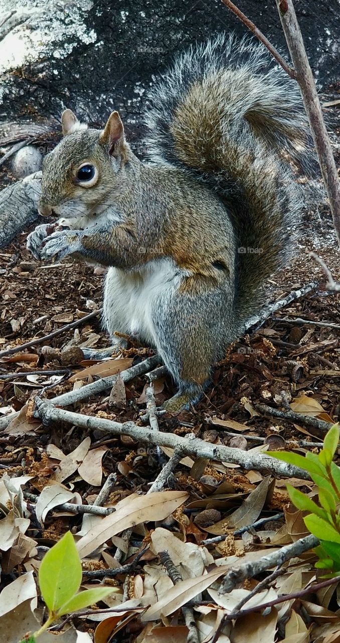 🔥🍃Nature🍃🔥