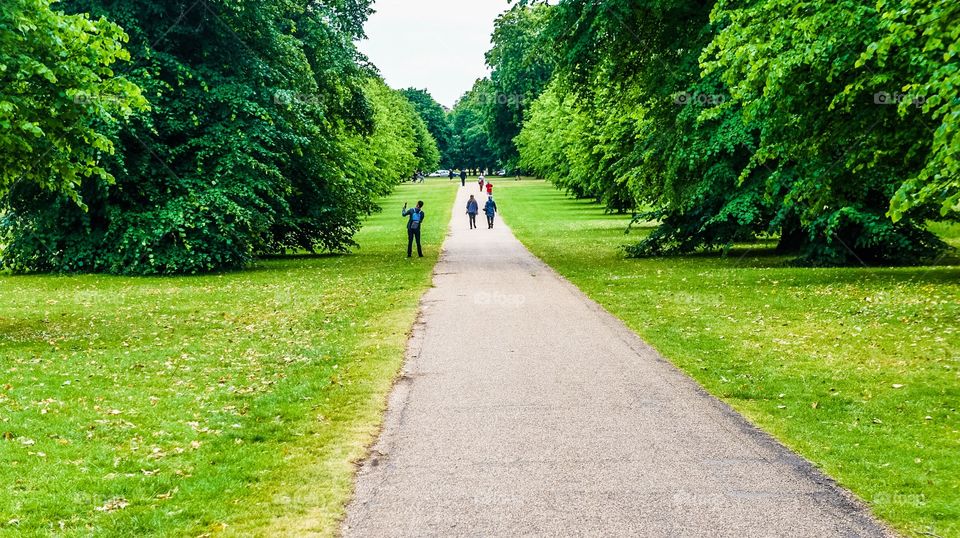 Green path in a park in London the Hyde park in a day of June 2015