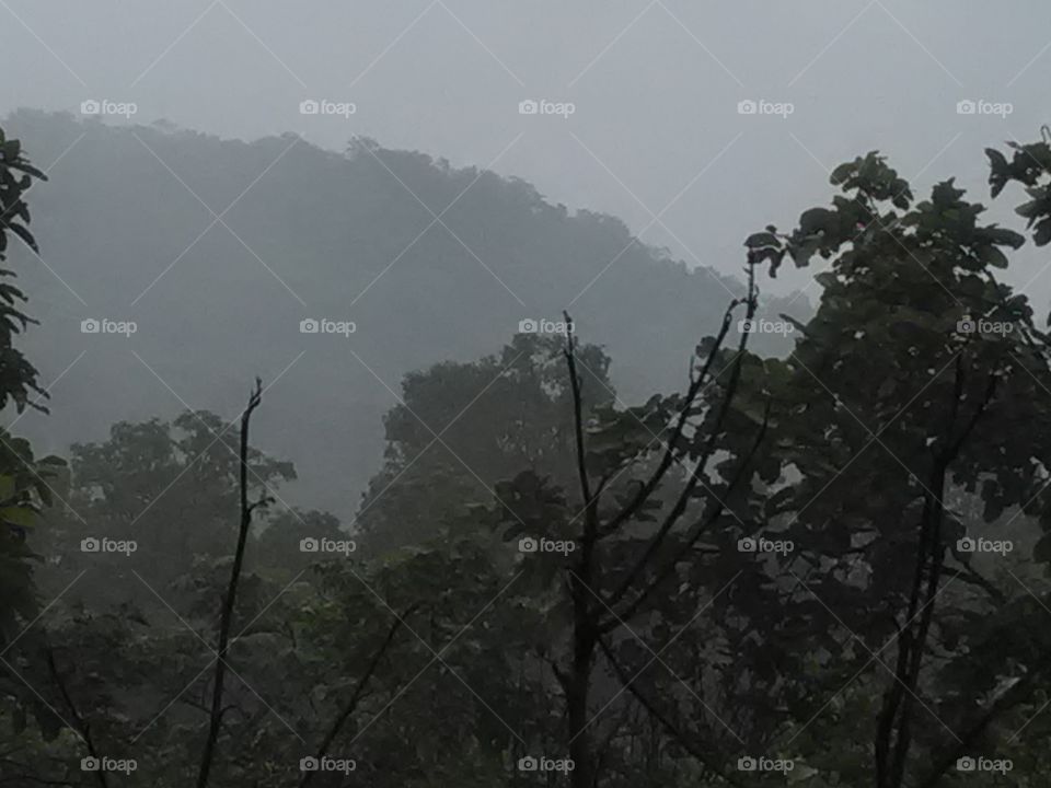 Clowedy forests hill.
