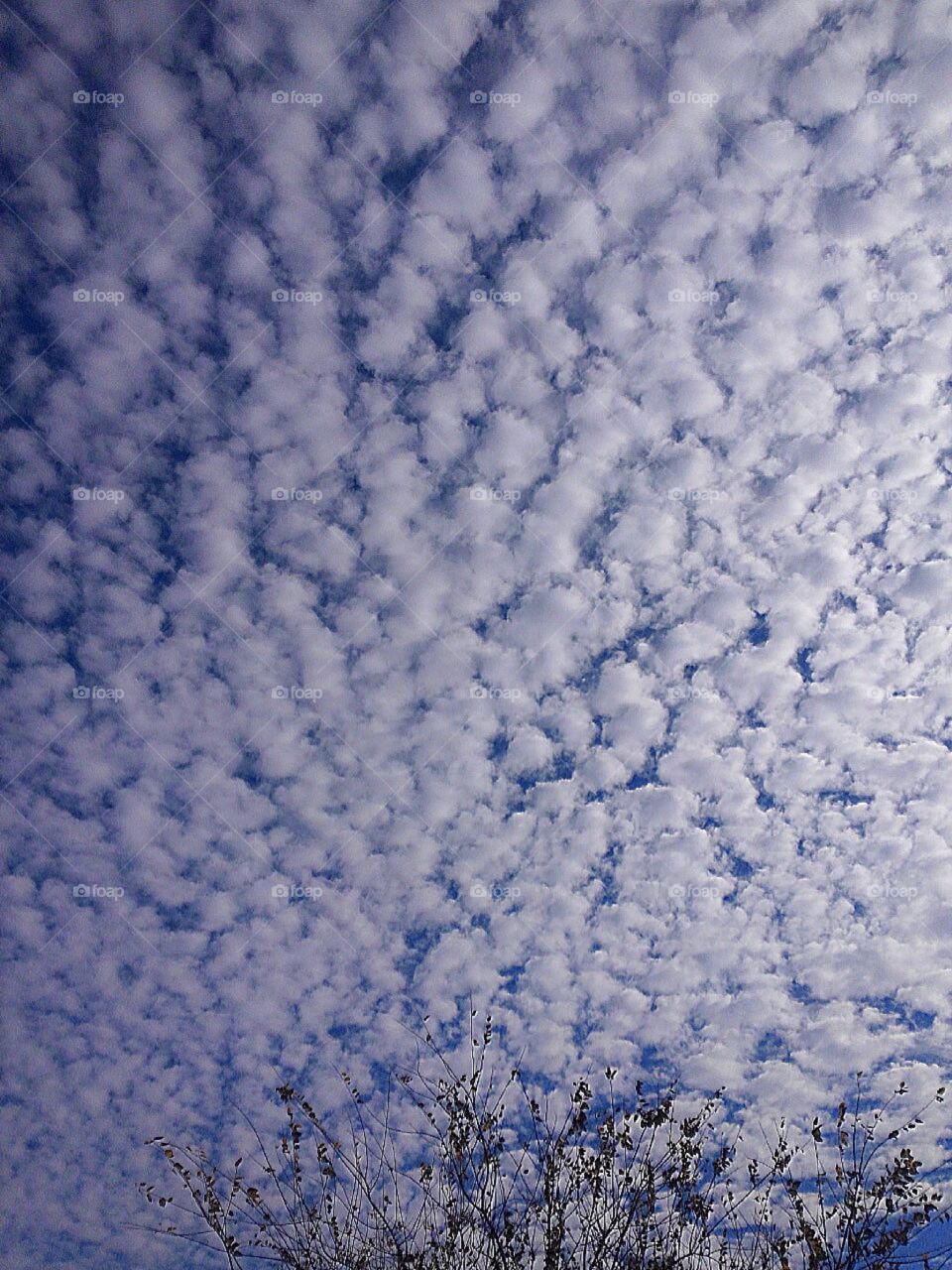 Never stop looking up!