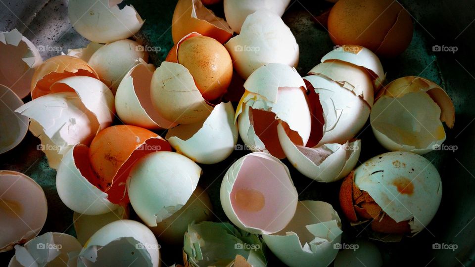 Cascas quebradas de ovos de galinhas.