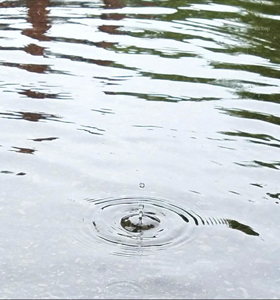 rain drop in rippling puddle