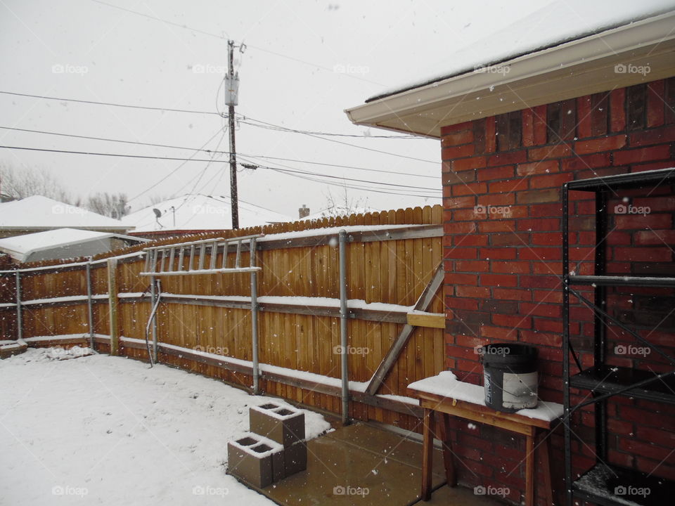 Backyard snow fall