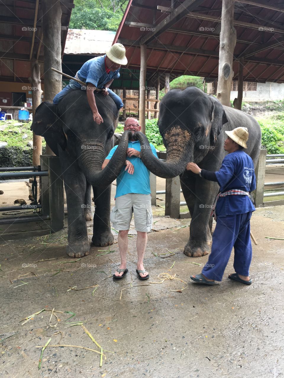 Elephant kiss