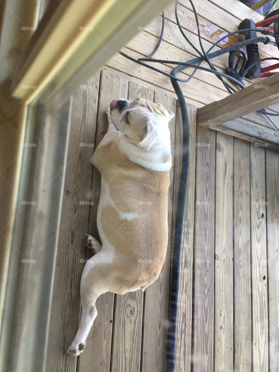 It’s to hot to play! 