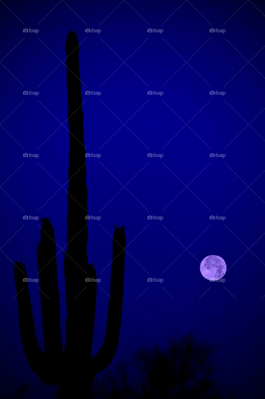 Arizona moon. Super moon photos at 6 AM