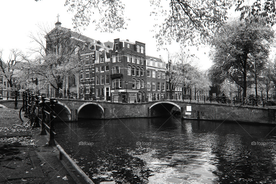 Amsterdam. Canal