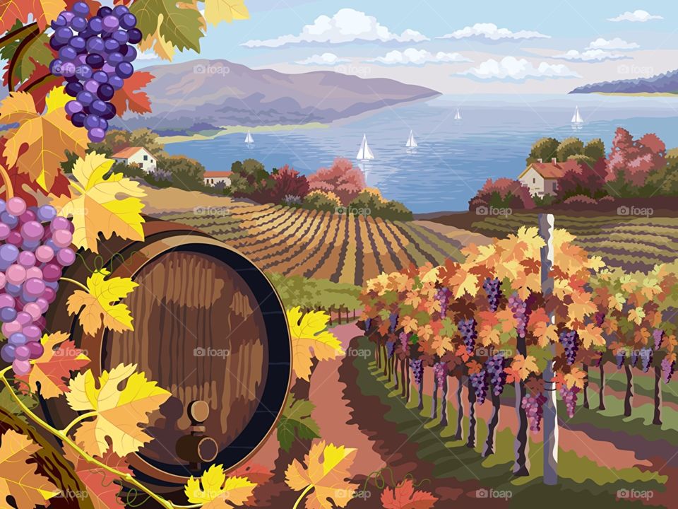 scenery vector graphics barell grapes fields.....