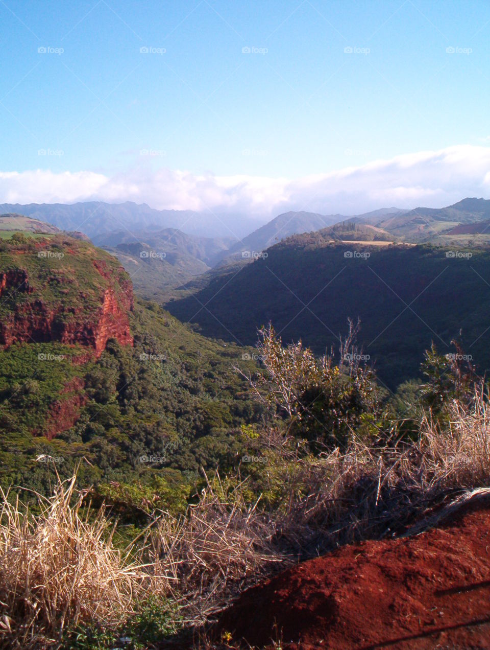 Waimea Canyon Park Hawaii. vacation!!