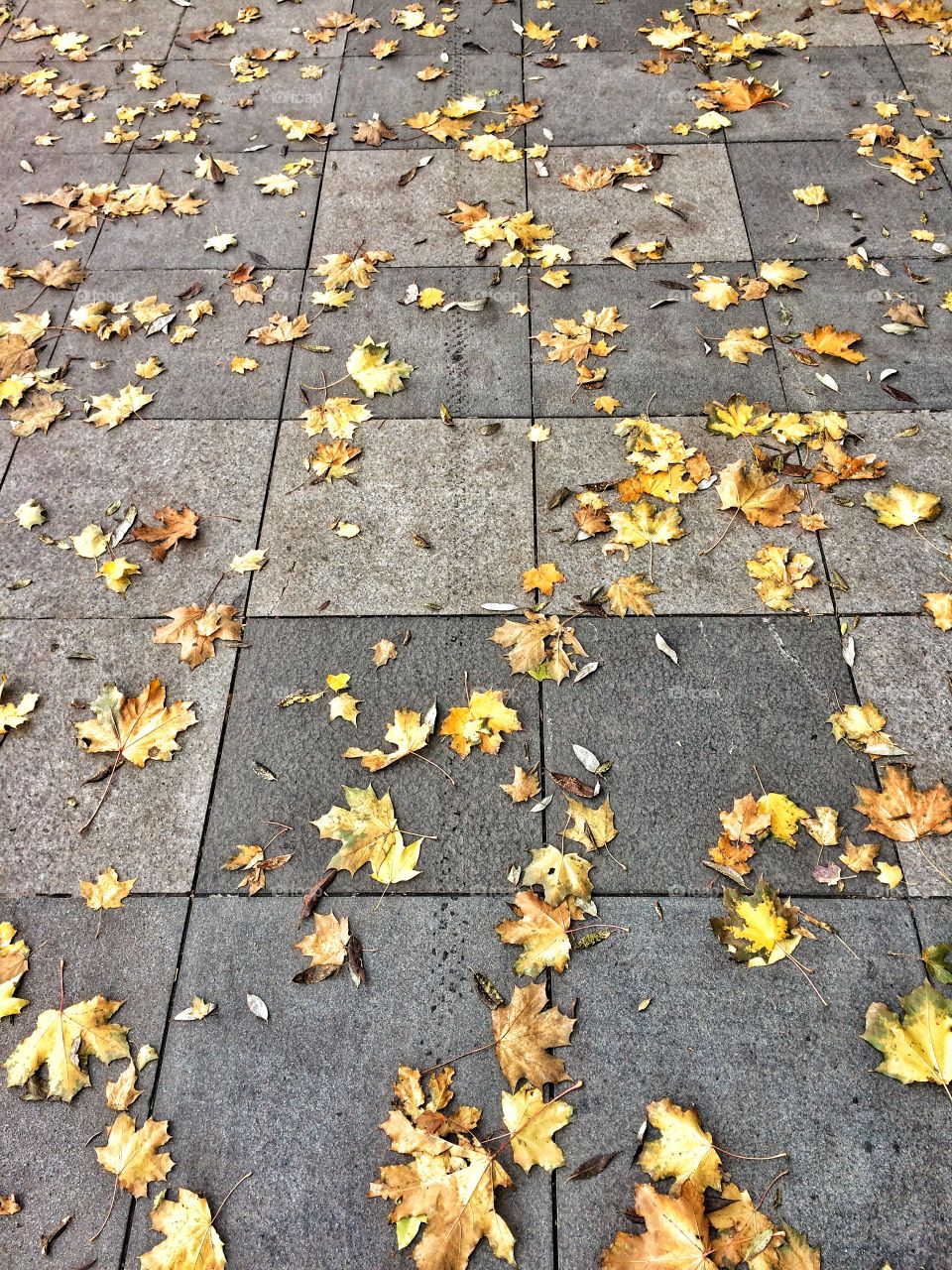 Desktop, Texture, Leaf, Gold, Fall