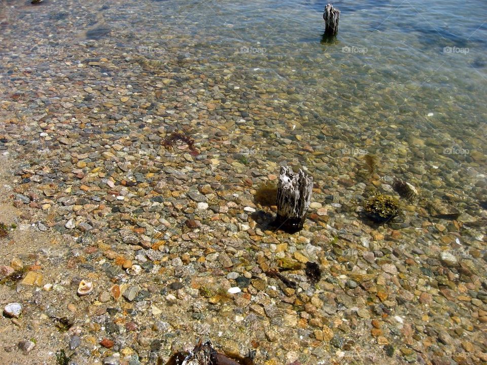 Clear waters on Marthas vineyard